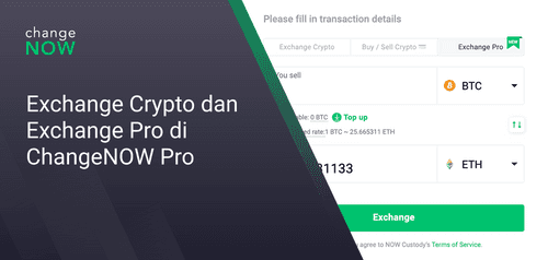 Exchange Crypto dan Exchange Pro di ChangeNOW Pro